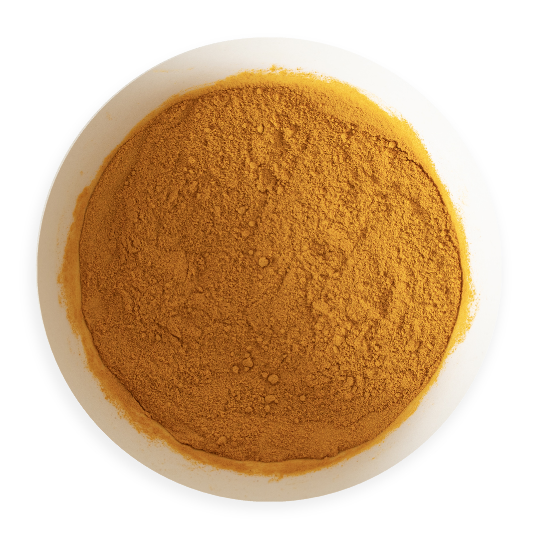 Curcuma