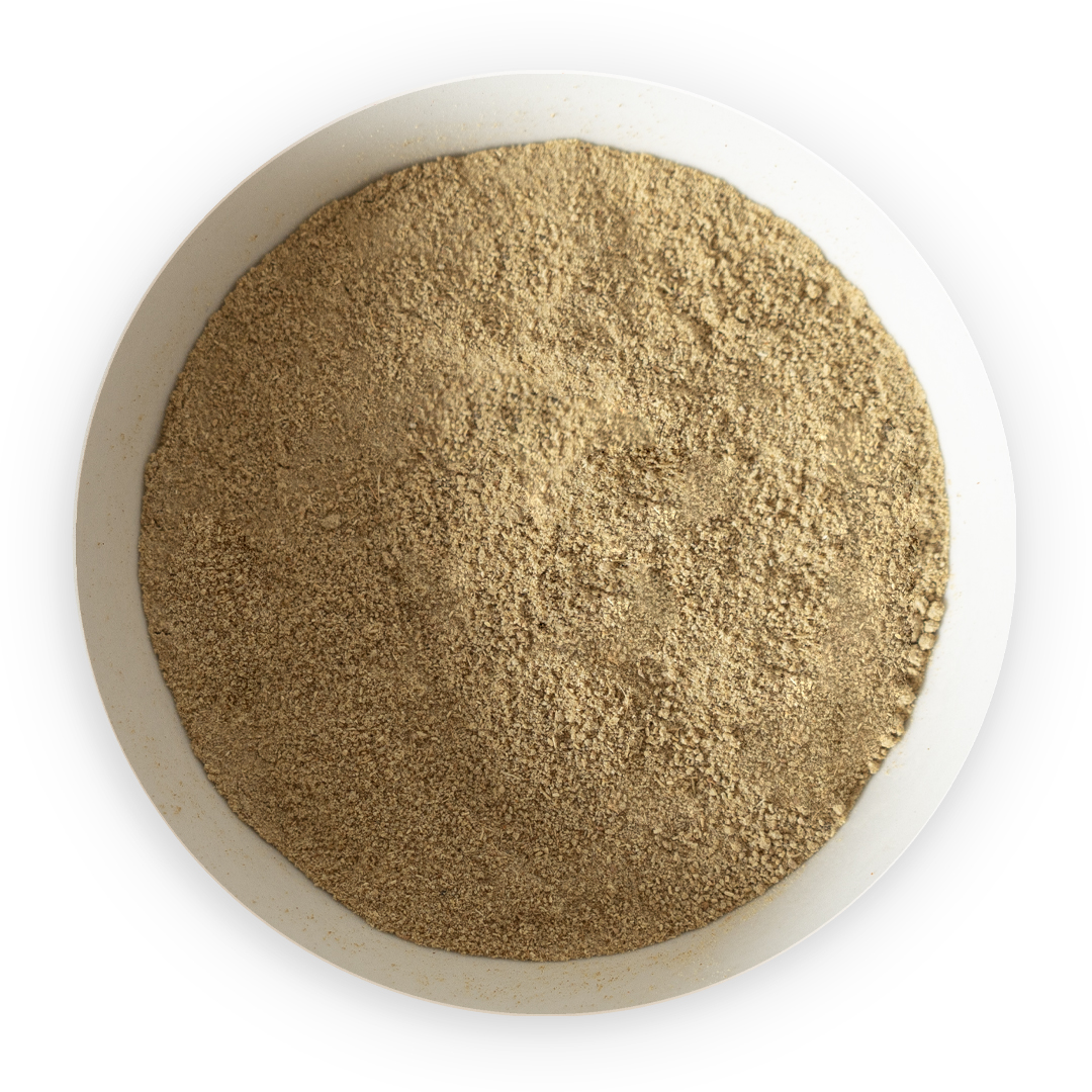 Fenouil
